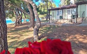 Family Bungalow Pineta