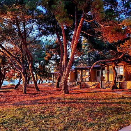 Family Bungalow Pineta Novigrad Istria Buitenkant foto