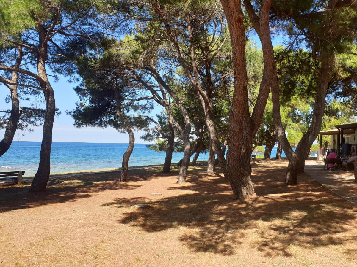 Family Bungalow Pineta Novigrad Istria Buitenkant foto