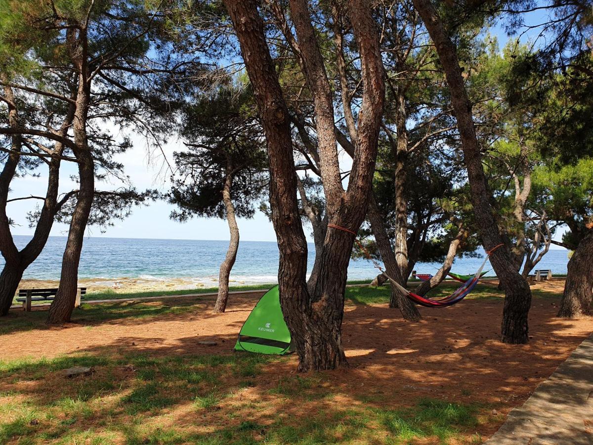 Family Bungalow Pineta Novigrad Istria Buitenkant foto