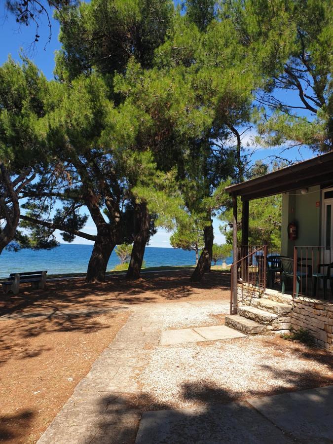 Family Bungalow Pineta Novigrad Istria Buitenkant foto