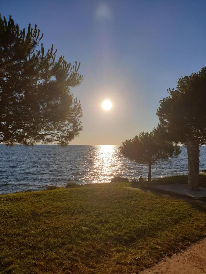 Family Bungalow Pineta Novigrad Istria Buitenkant foto