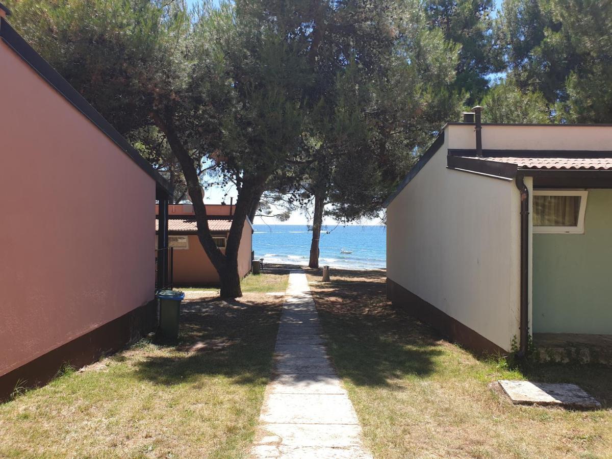 Family Bungalow Pineta Novigrad Istria Buitenkant foto