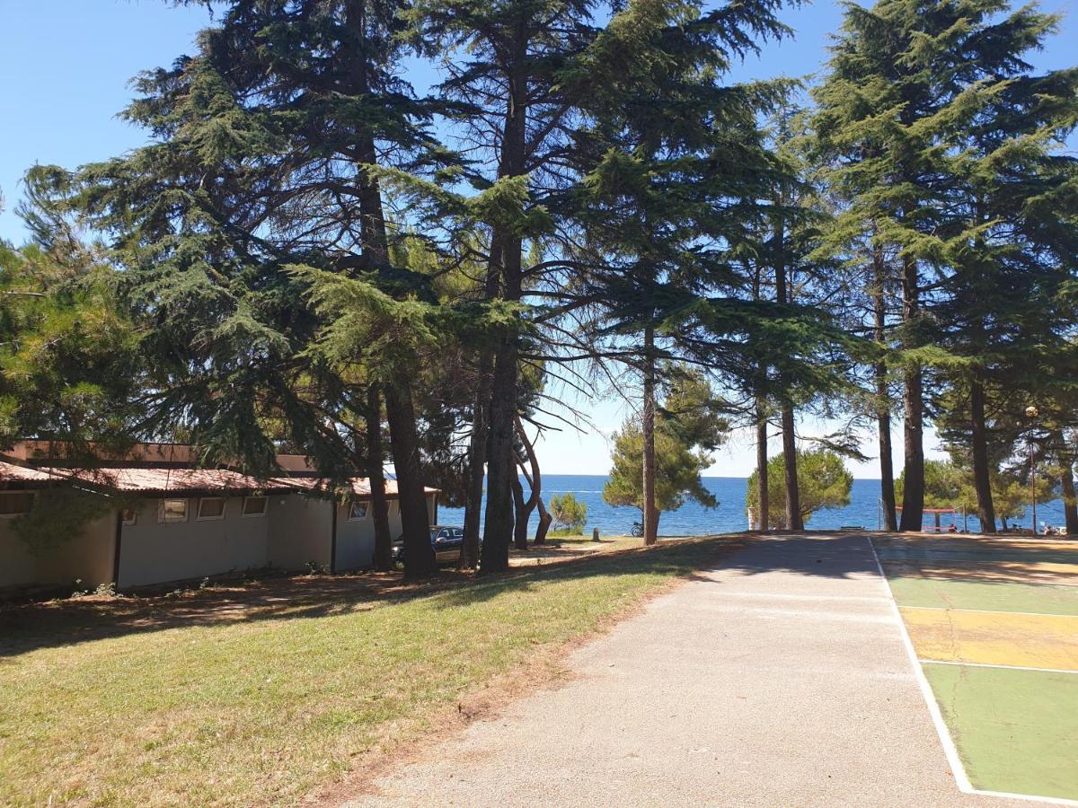 Family Bungalow Pineta Novigrad Istria Buitenkant foto