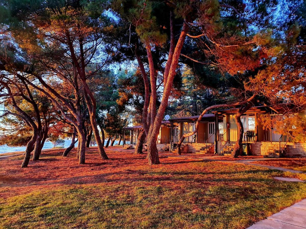 Family Bungalow Pineta Novigrad Istria Buitenkant foto
