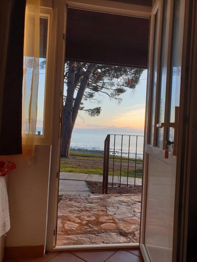 Family Bungalow Pineta Novigrad Istria Buitenkant foto