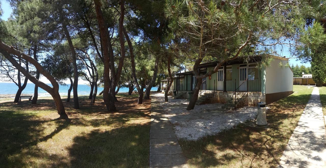 Family Bungalow Pineta Novigrad Istria Buitenkant foto