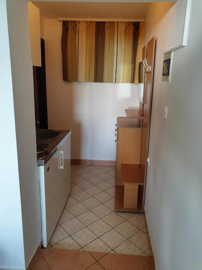 Family Bungalow Pineta Novigrad Istria Buitenkant foto