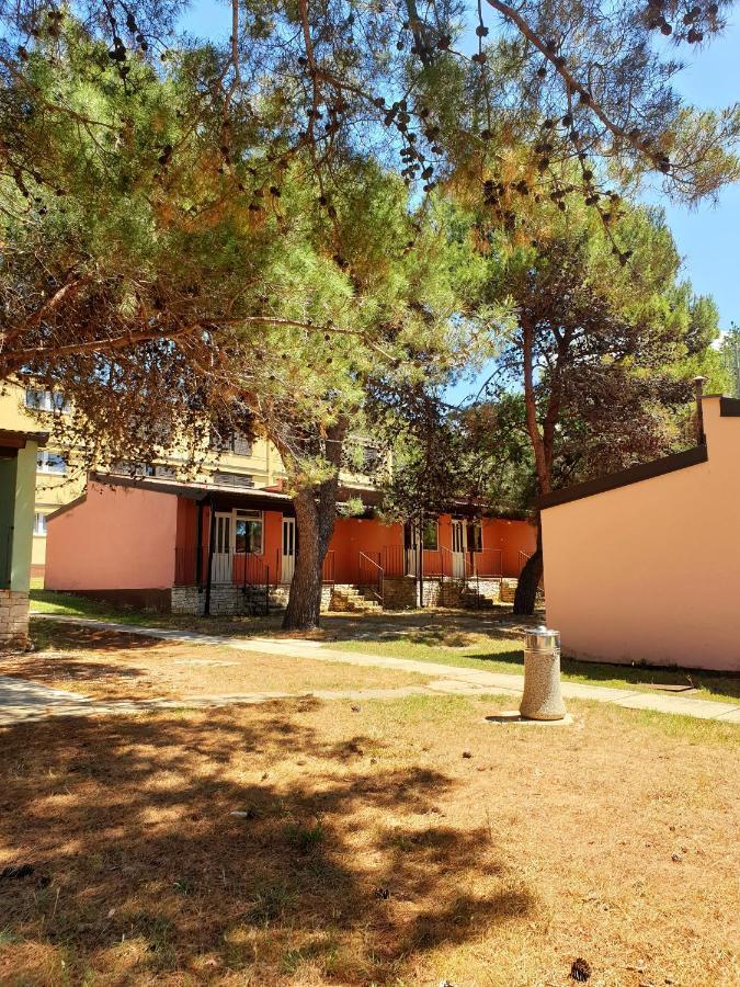 Family Bungalow Pineta Novigrad Istria Buitenkant foto